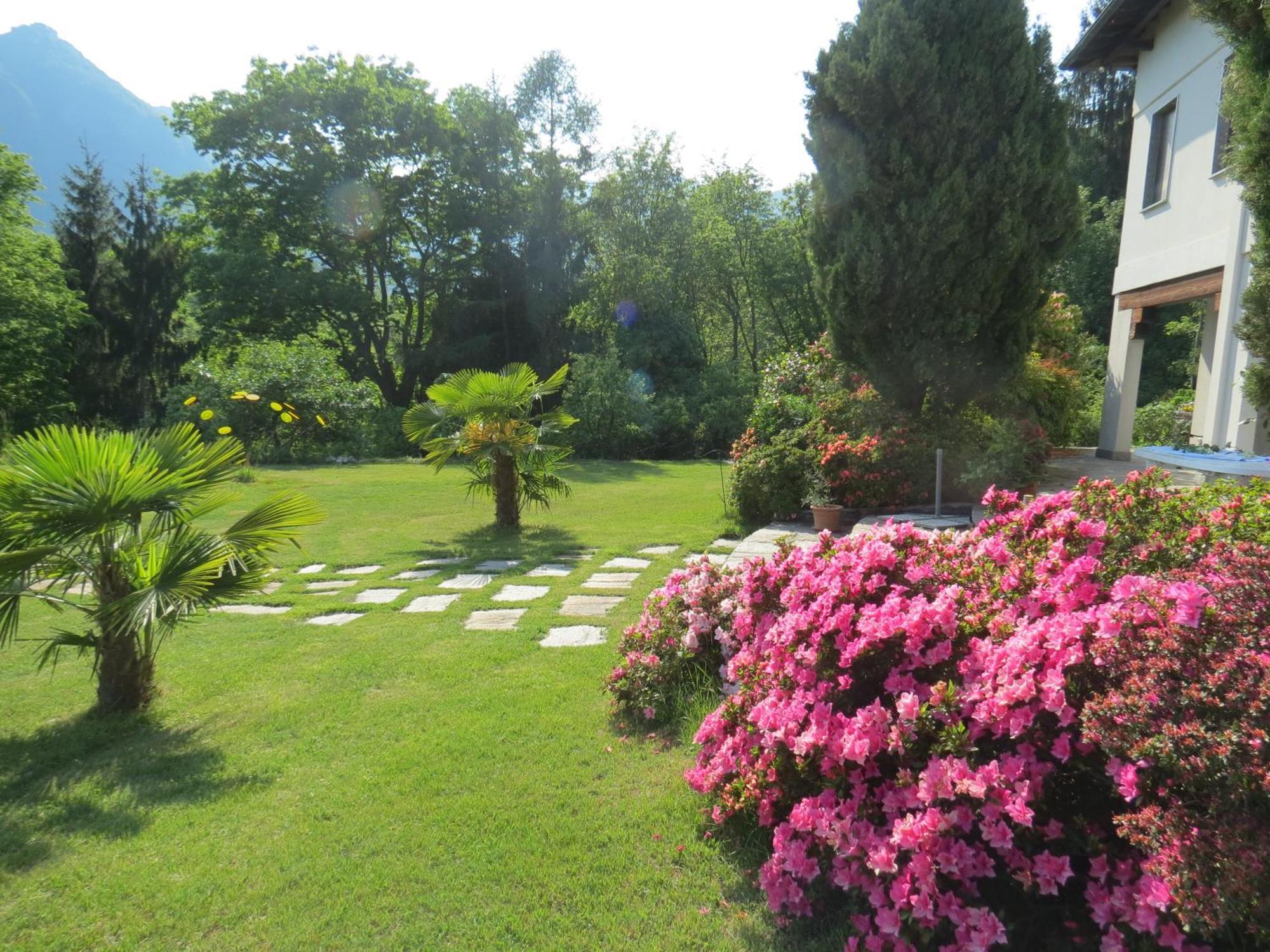 Trarego Villa Morissolina מראה חיצוני תמונה